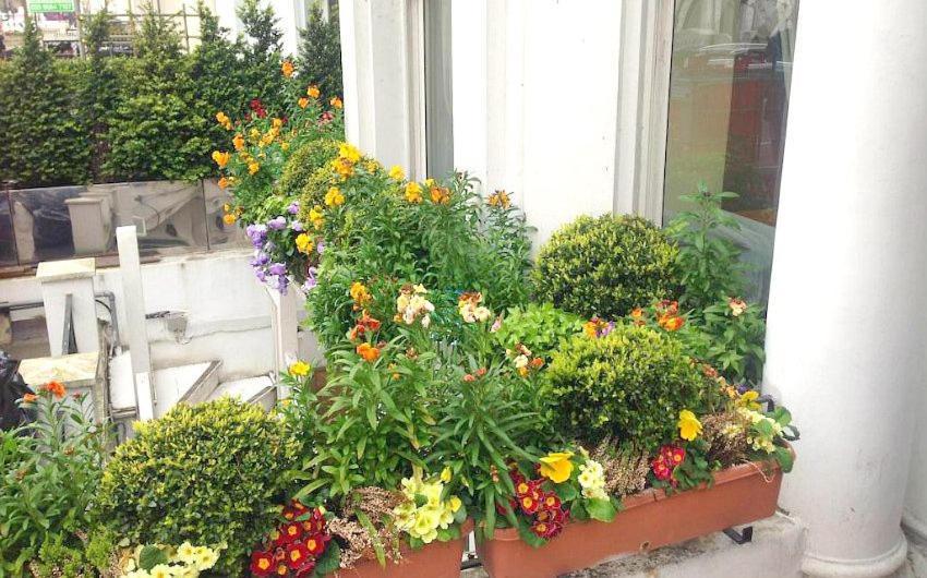 Holland Inn Hotel Λονδίνο Εξωτερικό φωτογραφία